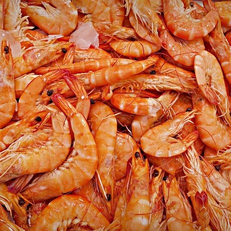shrimp g8416e7e9d 640